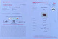 Untreated Certified 1.15 Carat Vivid Red Colour Natural Ruby Mozambique